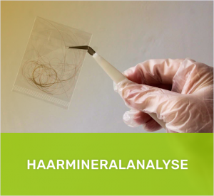 Diagnostik haarmineralanalyse muenchen heilpraktiker 1 300x276 - Diagnostik
